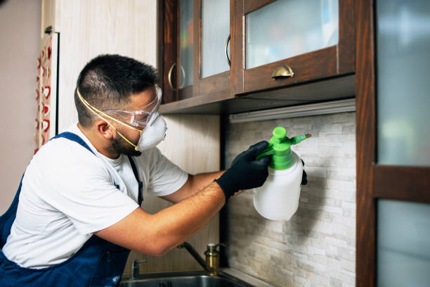 Pest Control for Restaurants in Mechanicsville, MD