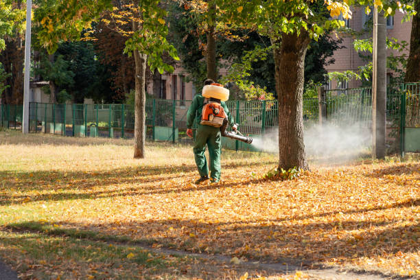 Insect Control in Mechanicsville, MD